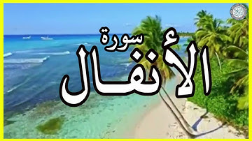 سورة الأنفال تلاوة الشيخ نورين محمد صديق برواية الدوري