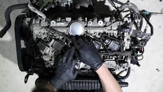 Ford Focus XR5 ST225 Engine Harness Swap by alexaescht 2,873 views 4 years ago 2 minutes, 42 seconds