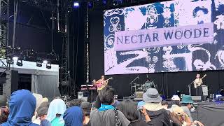 Good Vibrations, Nectar Woode, Summer Sonic 2026 Osaka