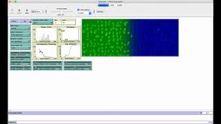 Celebrity Evolution Simulation - Plant Speciation Net Worth