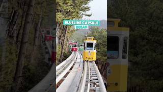Kinh nghiệm đi Blueline Capsule cho ai đi Busan Hàn Quốc lần đầu #busan #hanquoc #elricreviewer