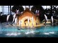 Dolphin Presentation (Full Show) - SeaWorld Abu Dhabi - August 9, 2023