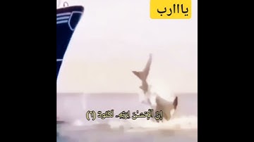 (إِنَّ الْإِنسَانَ لِرَبِّهِ لَكَنُودٌ.... )بصوت القارئ الشيخ خالدالجليل #قرآن_كريم #خالد_الجليل