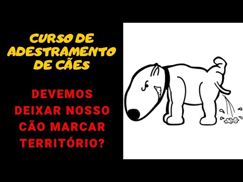 Curso de Adestramento de Cães -  Devemos Deixar Nosso Cão Marcar Território?
