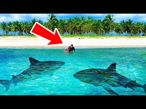Video: Apa itu katup gigitan hiu?