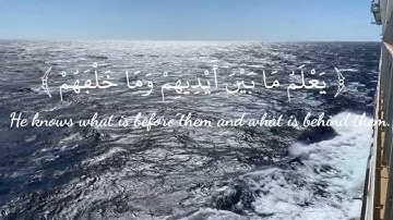 ياسر الدوسري{الله لا اله الا هو الحي القيوم}سورة البقرة#اية_الكرسي