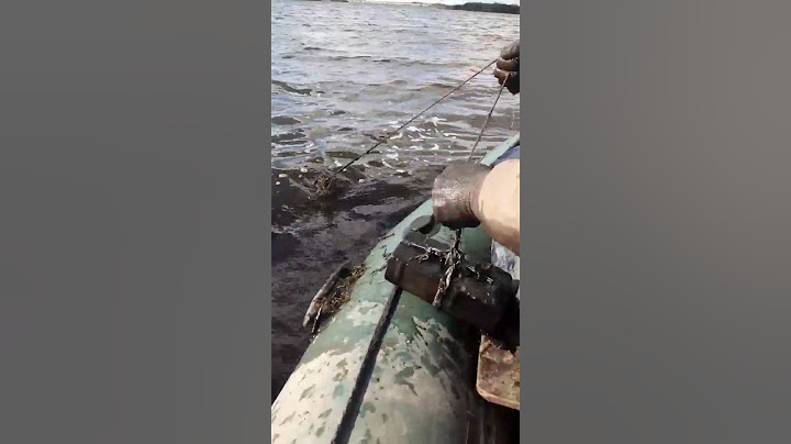 промысловый лов раков / crawfish fishing Проверка одной раколовки