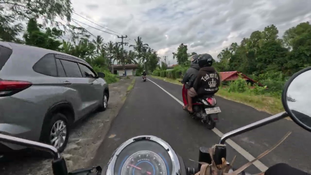 APAKAH TAMAN BUNGA DI BEDUGUL ITU NYATA? | THE BLOOMS