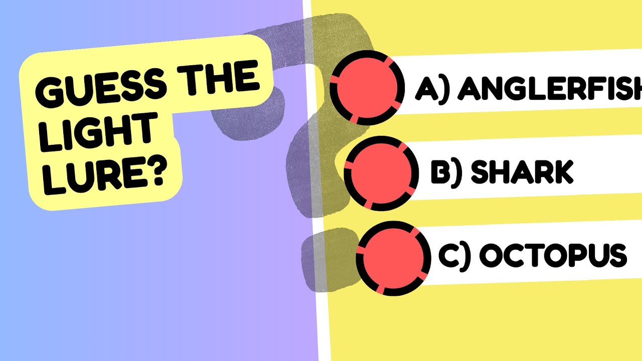 Test Your Brain! 🌊 Deep Sea Creatures Quiz - Can You Ace It? 