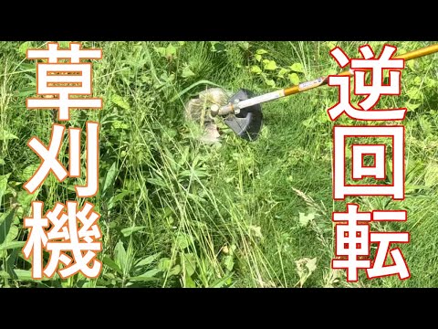 草刈りします。丸山製刈払機 KDC3650Li 操作方法の紹介 - YouTube