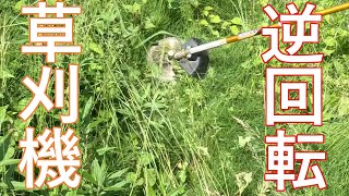 草刈りします。丸山製刈払機 KDC3650Li 操作方法の紹介 - YouTube