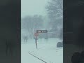 Some froze only steps away from safety. Would you survive the storm?#darkhistory #shorts #capcut