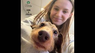 FURBABY PET CARE JANUARY 2026