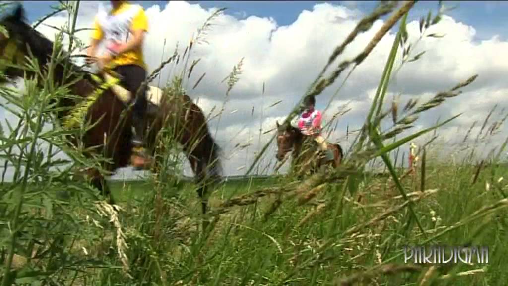 Endurance Kneževi vinogradi - Croatia cup 2013