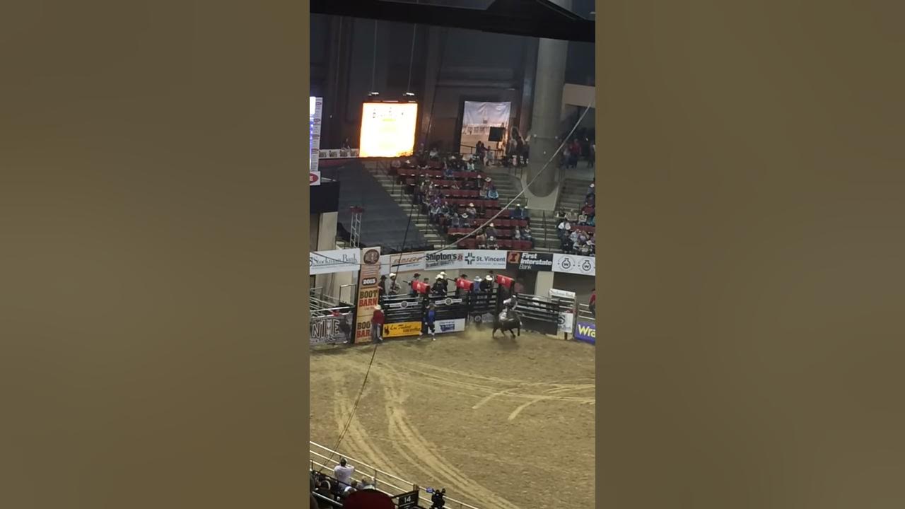The Nile Rodeo. Billings, MT YouTube