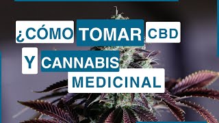 ¿Cómo tomar CBD y Cannabis Medicinal?