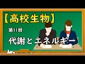 高校生物【第11回 代謝とエネルギー】オンラインで高校授業