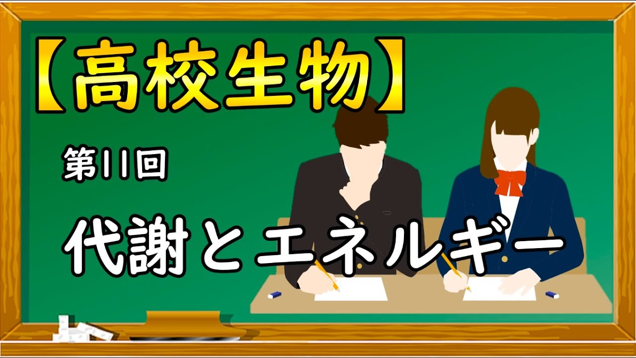 高校生物 第10回 免疫に関わるタンパク質 Tlr Tcr Bcr Mhc Hla オンラインで高校授業 Youtube