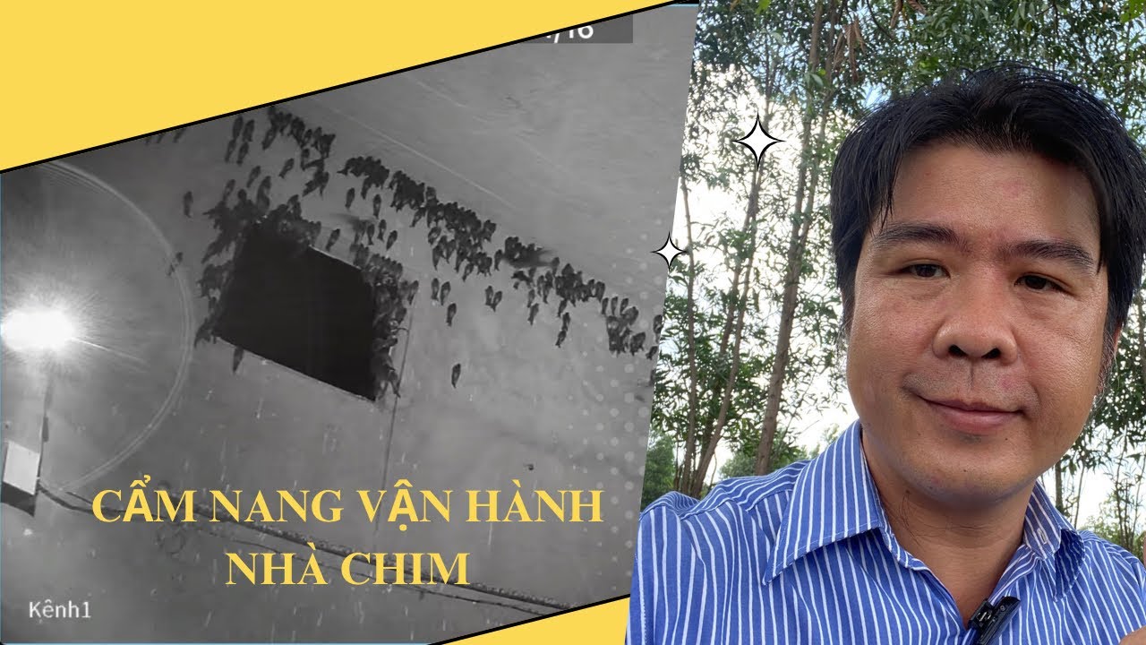 Chia Sẽ Cẩm Nang Vận Hành Nhà Yến Hiệu Quả và Gửi Thông Báo Cực Kỳ Quan Trọng