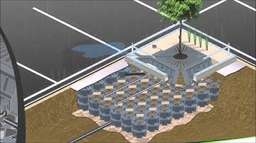 ArborFlow Stormwater Management