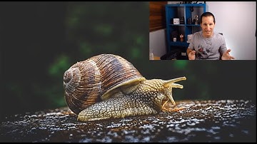 Slow running queries.... a delayed cause?