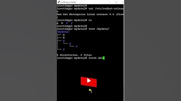 Create New File in Linux | RHEL/CentOS/Ubuntu #linux #linuxtraining #viral #shorts