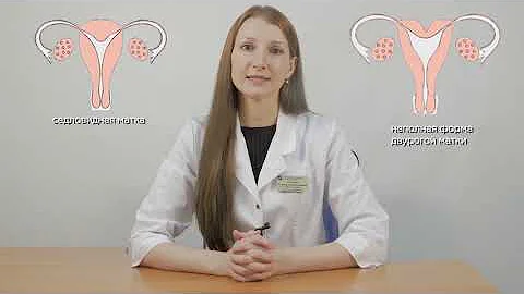 ДВУРОГАЯ МАТКА. Что такое двурогая матка, как она возникает и какие бывают виды двурогой матки.