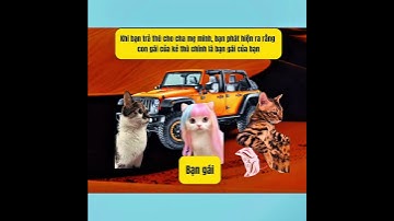 Con gái của kẻ thù chính là bạn gái của mình #meme #catmeme