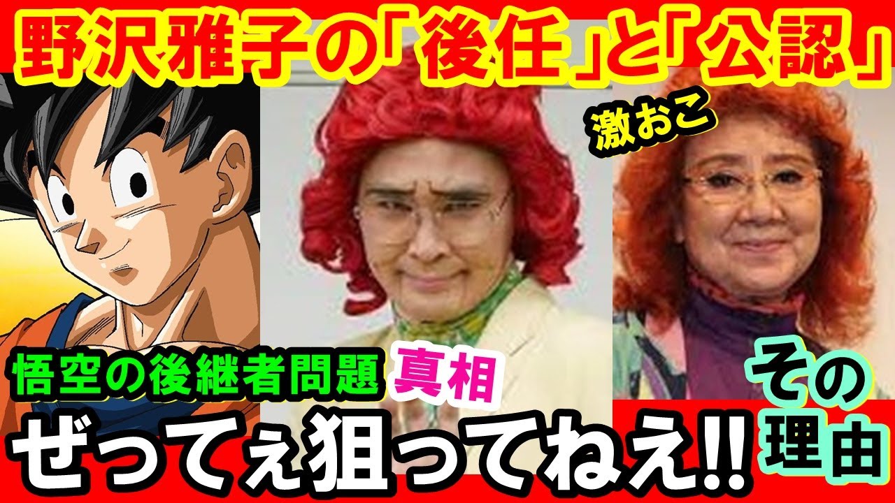アイデンティティ 野沢雅子 公認