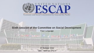 Sixth session of the Committee on Social Development - Floor Language Net Worth
