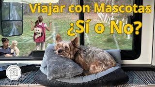 🐶 Viajando con Perros: Nuestros consejos y accesorios imprescindibles 🚐 by Damar en Ruta 839 views 4 months ago 27 minutes