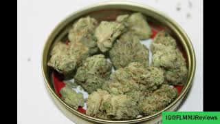 2 Buds Medical Marijuana Reviews - MUV Florida I-95