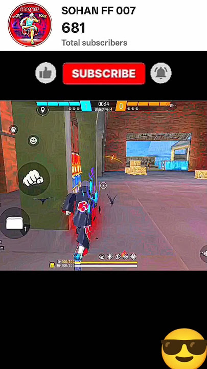 #whitelabrodorsnowhi