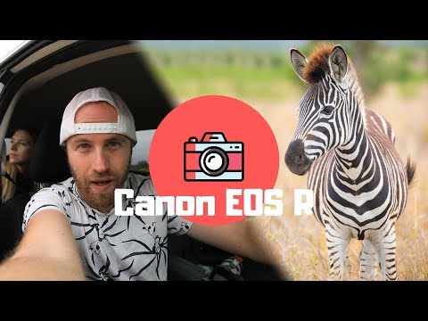 wildlife-photography-on-a-mirrorless-camera??-the-canon-eos-r