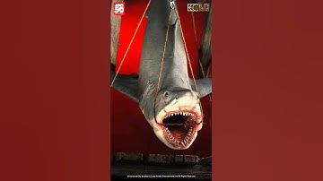 JAWS 1/12 SCALE MAQUETTE ECC ELITE CREATURE TOYNAMI MUSEUM