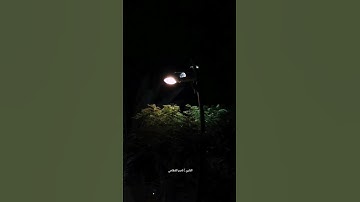 تلاوه جميله بصوت الشيخ ناصر القطامي ارح سمعك