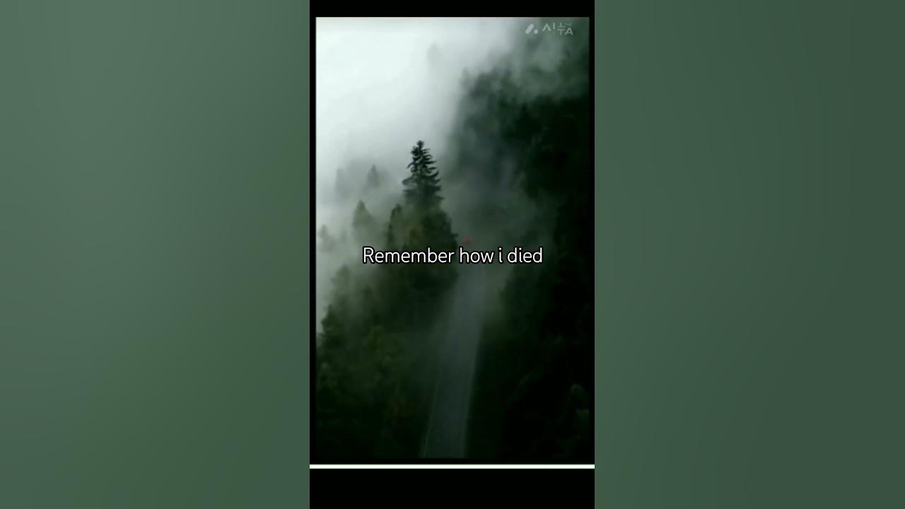 #singersongwriter #newmusic #newsong #music #song #lyrics #aesthetic #aestheticlyricsvideo