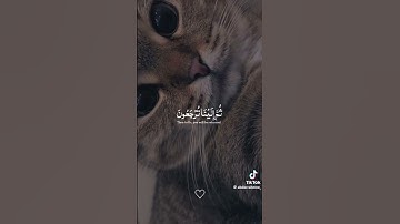 اللهم صلي وسلم وبارك على سيدنا محمد وعلي آله وصحبه وسلم ❤️#القارئ_ عبد_ الرحمن_ مسعد_