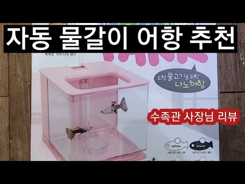 자동으로 물갈이 어항 리뷰 베타 어항 추천
