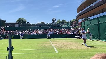Jo-Wilfried Tsonga sliced backhand in slow motion