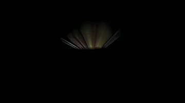 حالات واتس بحبك انتى وبس وانسى ان احس 