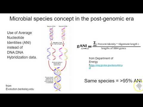 Video: Menuju Keselarasan Baca Pan-genome Untuk Meningkatkan Pemanggilan Variasi