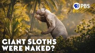 Why Humanity Has Amnesia About Giant Sloths screenshot 2