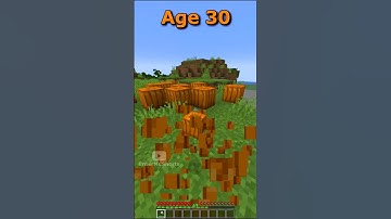 Minecraft How To Escape Traps At Every Age (World