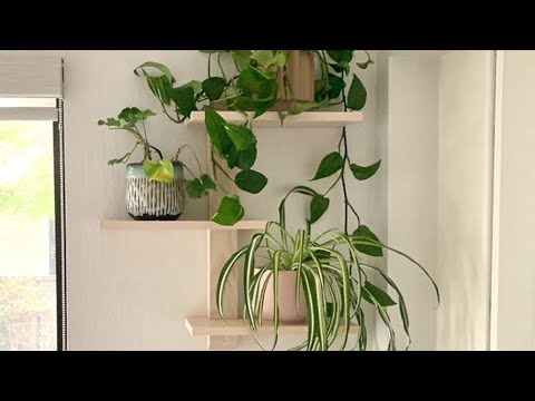 How to make a modern floating shelf - DIY Shelf - Home decor - Plant Shelf