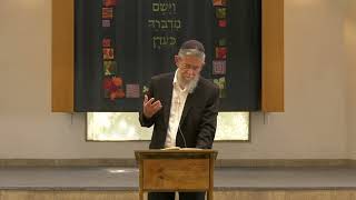 מערכות התשובה (א) | אורות התשובה 2 | רה"י הרב יצחק שילת