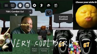 Scripttsb Notpakibest Tsb Camlock Scriptnotpaki