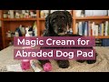 Abraded Dog Pad? Magic Cream for Home Remedy