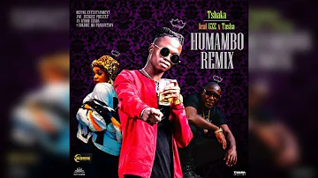 Tshaka ft GZE & Tashamiswa - Humambo (remix) prod by Afrow Zenda of Sokowe MG
