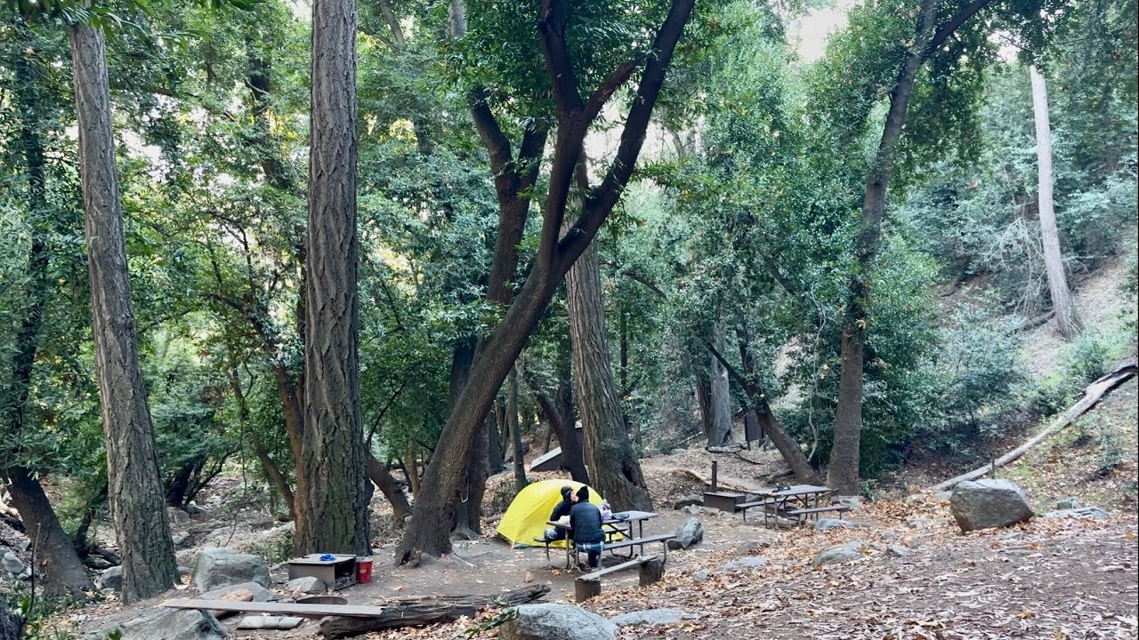 Пешеходный маршрут Спрус-Гроув и кольцевой маршрут вокруг горы Уилсон.